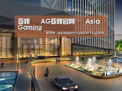 案例展示二