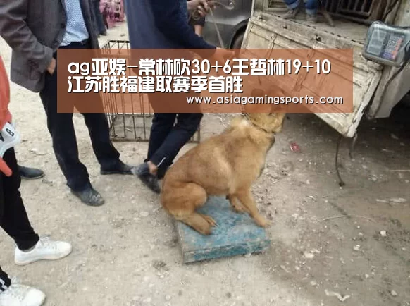ag亚娱-常林砍30+6王哲林19+10 江苏胜福建取赛季首胜(图1) ag亚娱