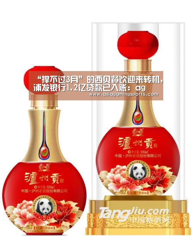 “撑不过3月”的西贝餐饮迎来转机,浦发银行1.2亿贷款已入账:ag(图4) ag官网