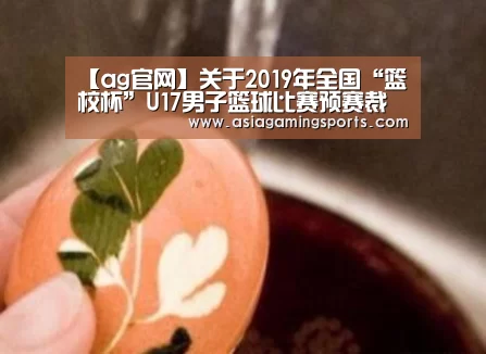 【ag官网】关于2019年全国“篮校杯”U17男子篮球比赛预赛裁判员安排的函(图2) ag官网
