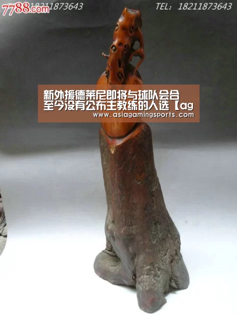 新外援德莱尼即将与球队会合 至今没有公布主教练的人选【ag亚娱】(图1) 新外援德莱尼即将与球队会合 至今没有公布主教练的人选【ag亚娱】(图1)