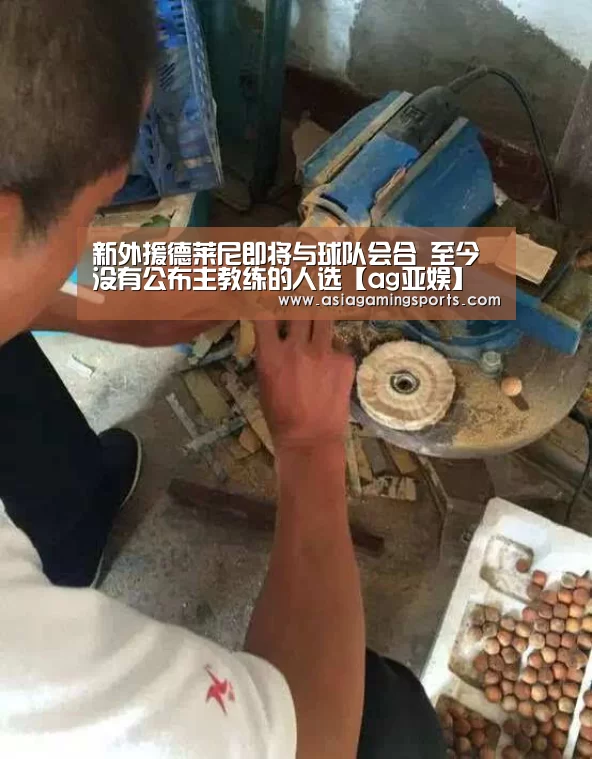 新外援德莱尼即将与球队会合 至今没有公布主教练的人选【ag亚娱】(图2) 亚娱